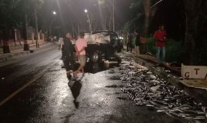 Sopir Diduga Ngantuk, Mobil Angkutan Ikan Nabrak Pohon di Bantaeng