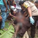 Diduga terjerat tali Sapi, Lelaki Paruh Baya ditemukan Tewas Dipersawahan