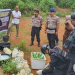 TIM JIBOM Gegana Sat Brimob Polda Sulsel Musnahkan Bahan Pembuatan BOM Ikan di Bone