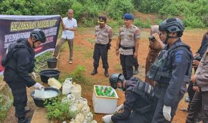 TIM JIBOM Gegana Sat Brimob Polda Sulsel Musnahkan Bahan Pembuatan BOM Ikan di Bone