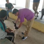 Kasus Gigitan Anjing tahun 2019 di Bone Mencapai 418 Kasus, 5 Diantaranya Meninggal Dunia