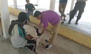 Kasus Gigitan Anjing tahun 2019 di Bone Mencapai 418 Kasus, 5 Diantaranya Meninggal Dunia