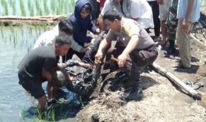 Sengketa Tanah, Lelaki Paruh Baya Dianiaya Hingga Tewas di Bone