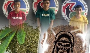 Tiga Pelaku Narkotika Golongan 1 di Ringkus Sat Narkoba Polres Bone