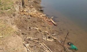 Lingkungan Pasuleang II Terancam Hilang Karena Abrasi Sungai pappa