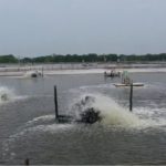 Cemari lingkungan dan diduga tidak memiliki izin, Warga minta pemerintah Takalar tindak tegas tambak udang di Desa Pala'lakkang