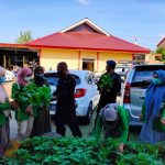 Personel Batalyon C Pelopor Bersama Mahasiswa IAIN Bone Kompak Panen Sayur di KRPL