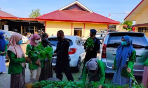 Personel Batalyon C Pelopor Bersama Mahasiswa IAIN Bone Kompak Panen Sayur di KRPL