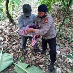 Penemuan Mayat Bayi Dalam kantong Plastik Gegerkan warga Desa Pasippo