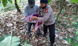 Penemuan Mayat Bayi Dalam kantong Plastik Gegerkan warga Desa Pasippo
