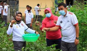 Kepala Lapas Kelas IIA Watampone Gelar Panen Raya Perdana Sayuran Hasil Kebun Warga Binaan