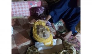 IMG-20210327-WA0038