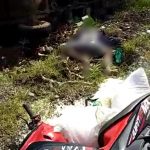 SADIS...!!! Kecelakaan Maut, Kepala Pengendara Motor di Banggai Terlepas dari Badannya