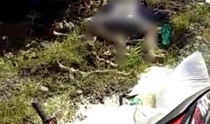 SADIS...!!! Kecelakaan Maut, Kepala Pengendara Motor di Banggai Terlepas dari Badannya
