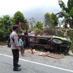 REM BLONG, Truck Beruatan 1230 Ekor Ayam Potong Asal Wajo Terguling di Kolaka Utara
