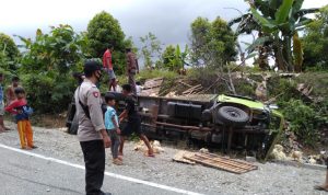 WhatsApp Image 2021-05-05 at 18.22.32 REM BLONG, Truck Beruatan 1230 Ekor Ayam Potong Asal Wajo Terguling di Kolaka Utara