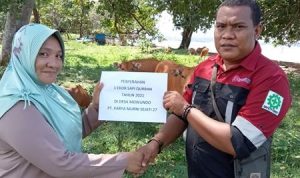 Jelang Idul Adha, PT KMS 27 Kembali Bagikan 7 Hewan Kurban