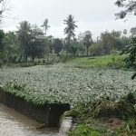 Usai diterjang Banjir, Ribuan Hektar Lahan Pertanian di Jeneponto Rusak Parah