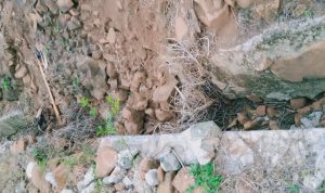 IMG-20211022-WA0070