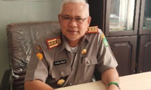 Sawah di Kolaka Utara Mampu Produksi 6 Ton Per Hektar