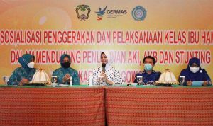 Lewat Kelas Ibu Hamil, TP PKK dan Dinkes Gowa Komitmen Tekan AKI, AKB dan Stunting