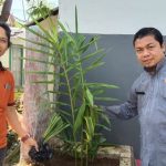 Dukung Program Gubernur, SMKN 4 Jeneponto Tanam Pohon dan Apotek Hidup di Areal Sekolah