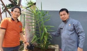 Dukung Program Gubernur, SMKN 4 Jeneponto Tanam Pohon dan Apotek Hidup di Areal Sekolah