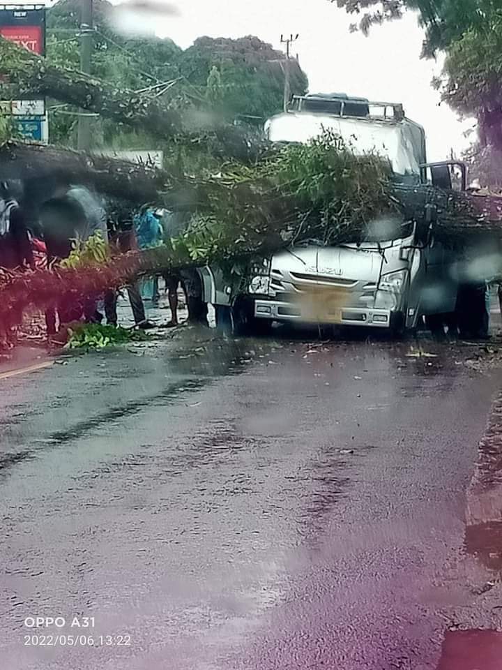 Mobil Bus Jurusan Padang - Pasaman Tertimpa Pohon Tumbang Saat Hujan Badai