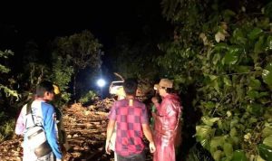 FB_IMG_1655835845581