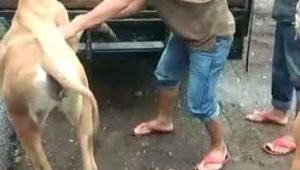 FB_IMG_1675272741278