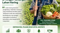 Jeneponto dan Kebangkitan Hortikultura di Tengah Tantangan Lahan Kering