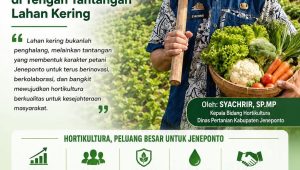 Jeneponto dan Kebangkitan Hortikultura di Tengah Tantangan Lahan Kering