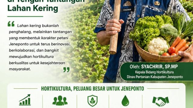 Jeneponto dan Kebangkitan Hortikultura di Tengah Tantangan Lahan Kering